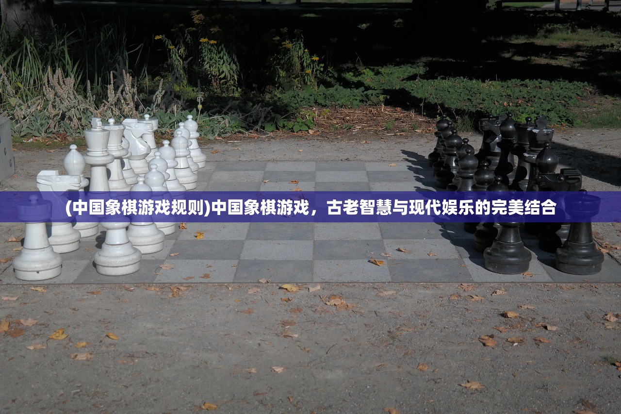 (中国象棋游戏规则)中国象棋游戏，古老智慧与现代娱乐的完美结合