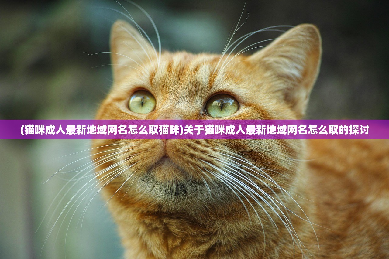(魔界契约剧情简介详细解析)魔界契约的剧情简介及深度分析