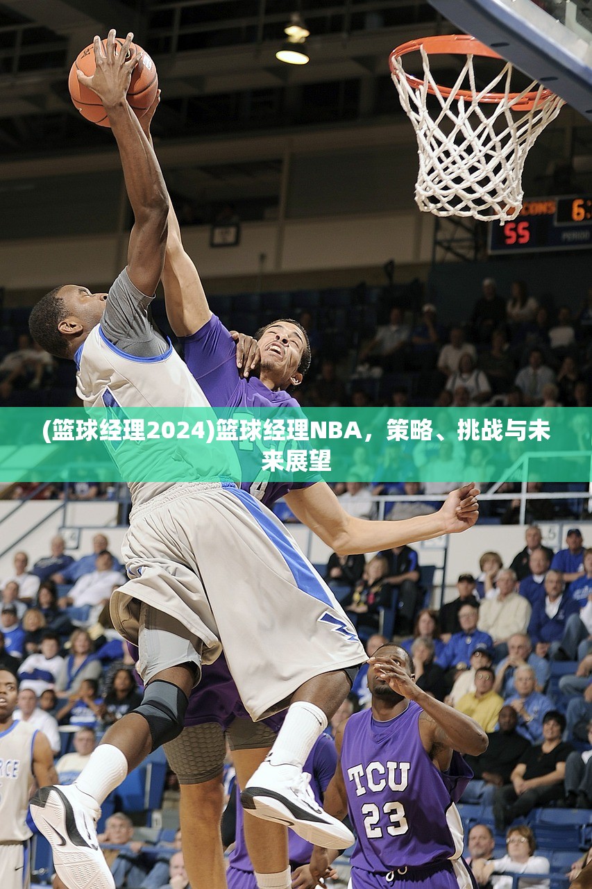 (篮球经理2024)篮球经理NBA，策略、挑战与未来展望