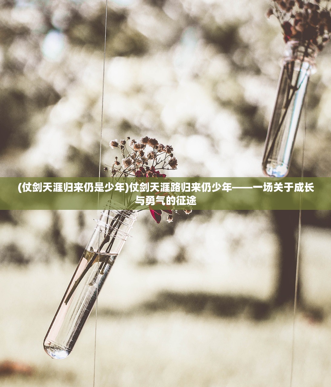 (仗剑天涯归来仍是少年)仗剑天涯路归来仍少年——一场关于成长与勇气的征途