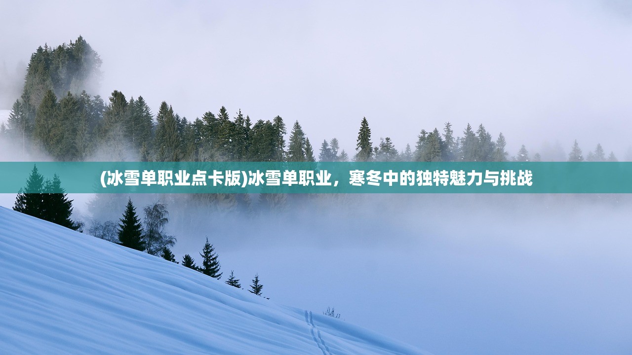 (冰雪单职业点卡版)冰雪单职业，寒冬中的独特魅力与挑战