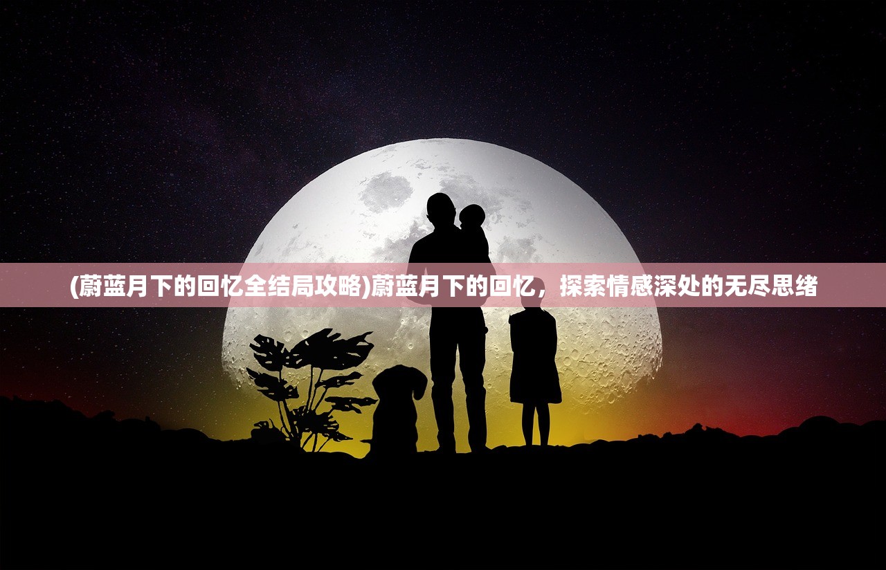 (少年的人间奇遇魔女篇攻略大全)少年的人间奇遇魔女篇攻略大全及常见问题解答