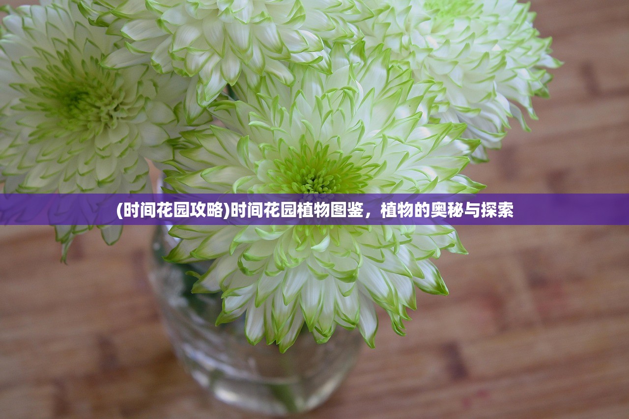 (时间花园攻略)时间花园植物图鉴，植物的奥秘与探索