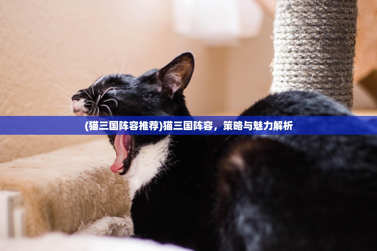 (猫三国阵容推荐)猫三国阵容，策略与魅力解析