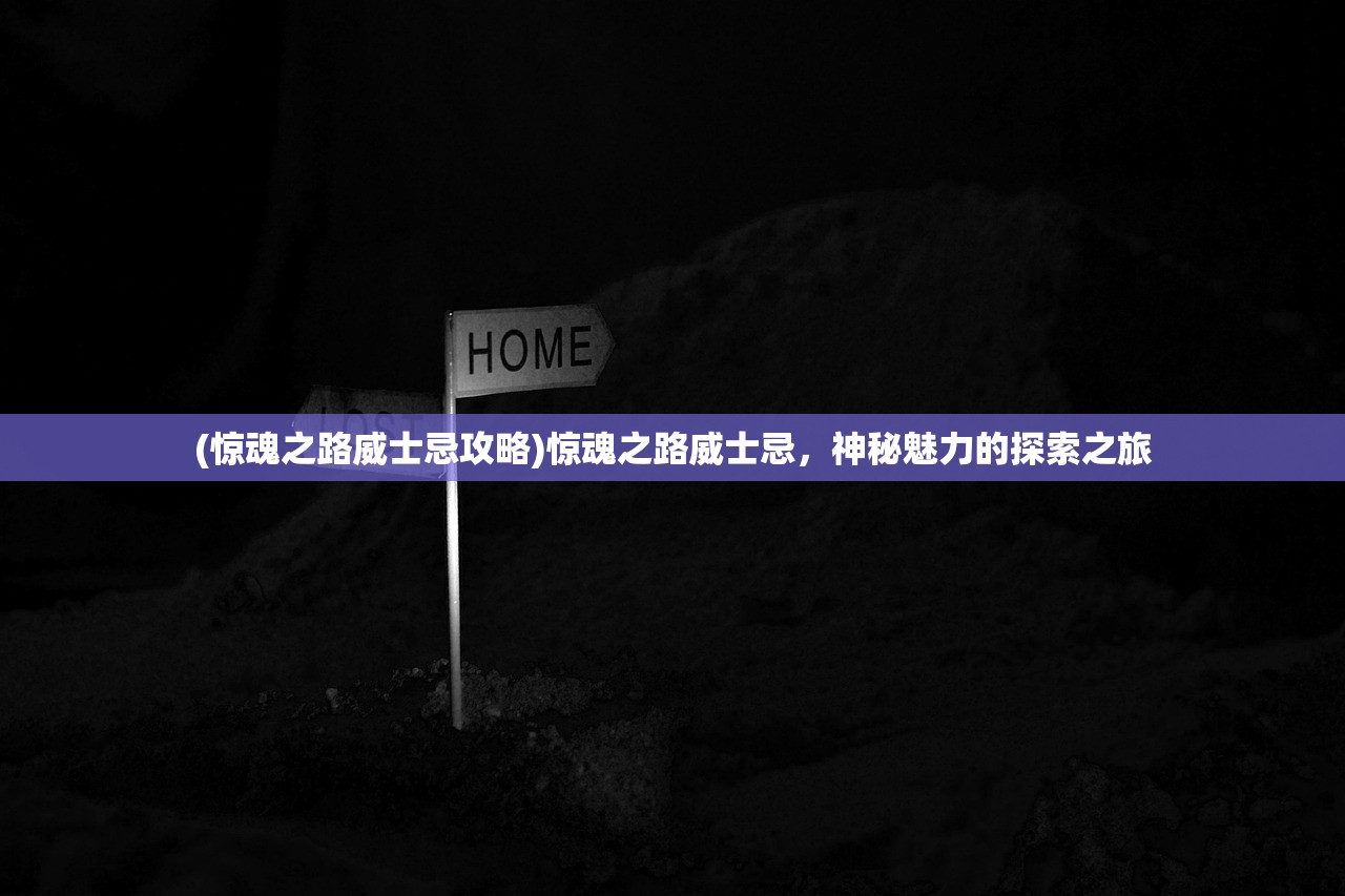 (大掌门的粉丝包括哪些人员)大掌门的粉丝群体深度解析