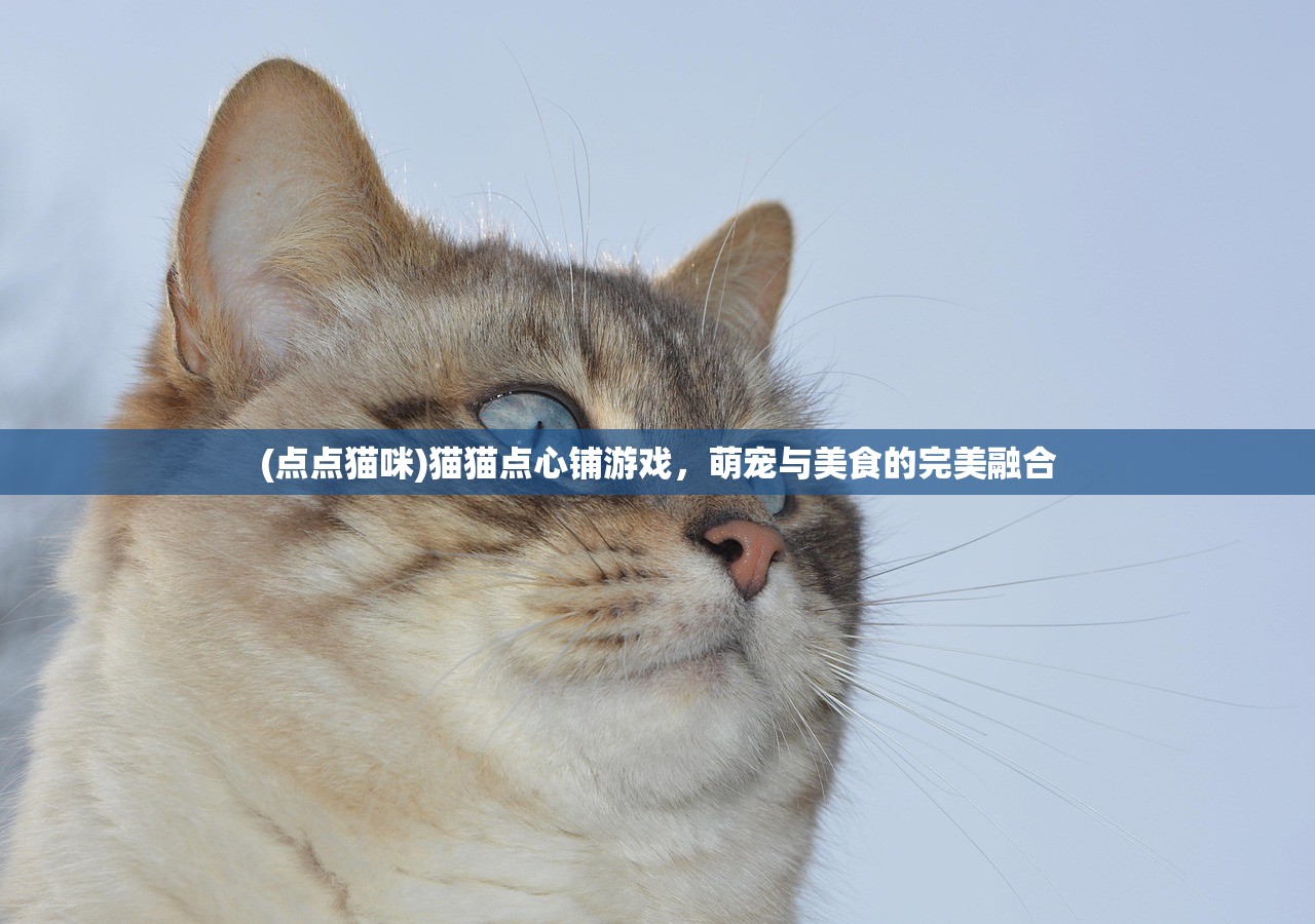 (点点猫咪)猫猫点心铺游戏，萌宠与美食的完美融合