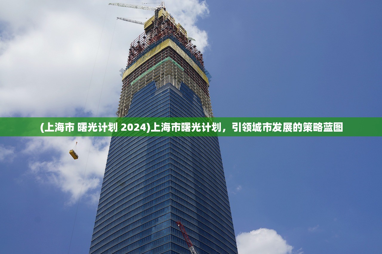 (上海市 曙光计划 2024)上海市曙光计划,引领城市发展的策略蓝图 (上海市 曙光计划 2024)上海市曙光计划,引领城市发展的策略蓝图