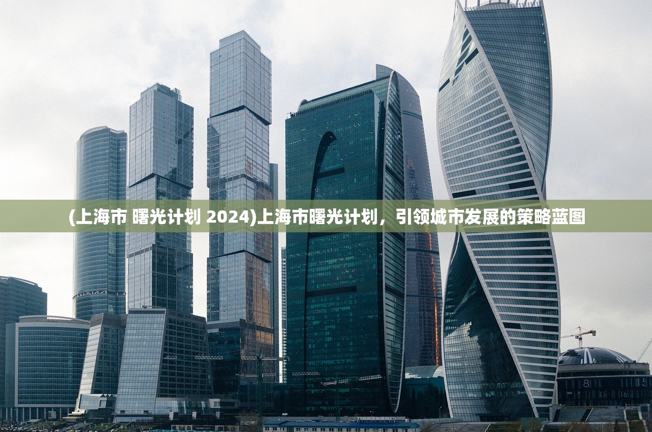 (上海市 曙光计划 2024)上海市曙光计划,引领城市发展的策略蓝图 (上海市 曙光计划 2024)上海市曙光计划,引领城市发展的策略蓝图