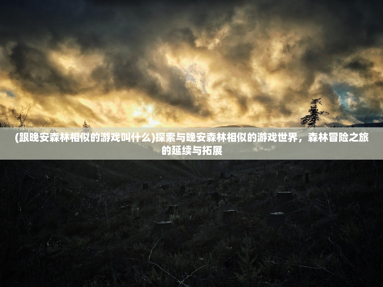 (跟晚安森林相似的游戏叫什么)探索与晚安森林相似的游戏世界,森林冒险之旅的延续与拓展 (跟晚安森林相似的游戏叫什么)探索与晚安森林相似的游戏世界,森林冒险之旅的延续与拓展