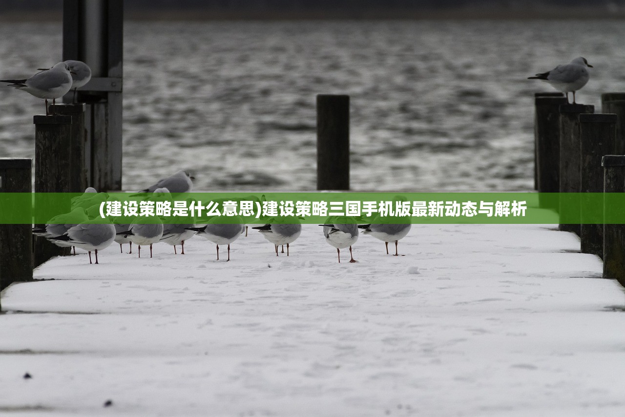 (建设策略是什么意思)建设策略三国手机版最新动态与解析 (建设策略是什么意思)建设策略三国手机版最新动态与解析