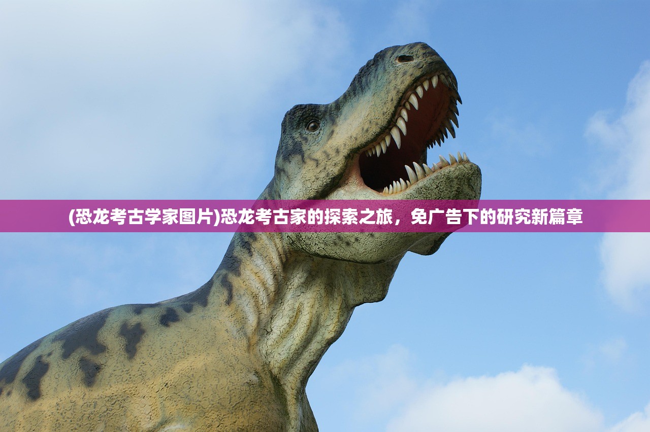 (长生劫第二关图解完美攻略)长生劫攻略第二关详细教程及常见问题解答