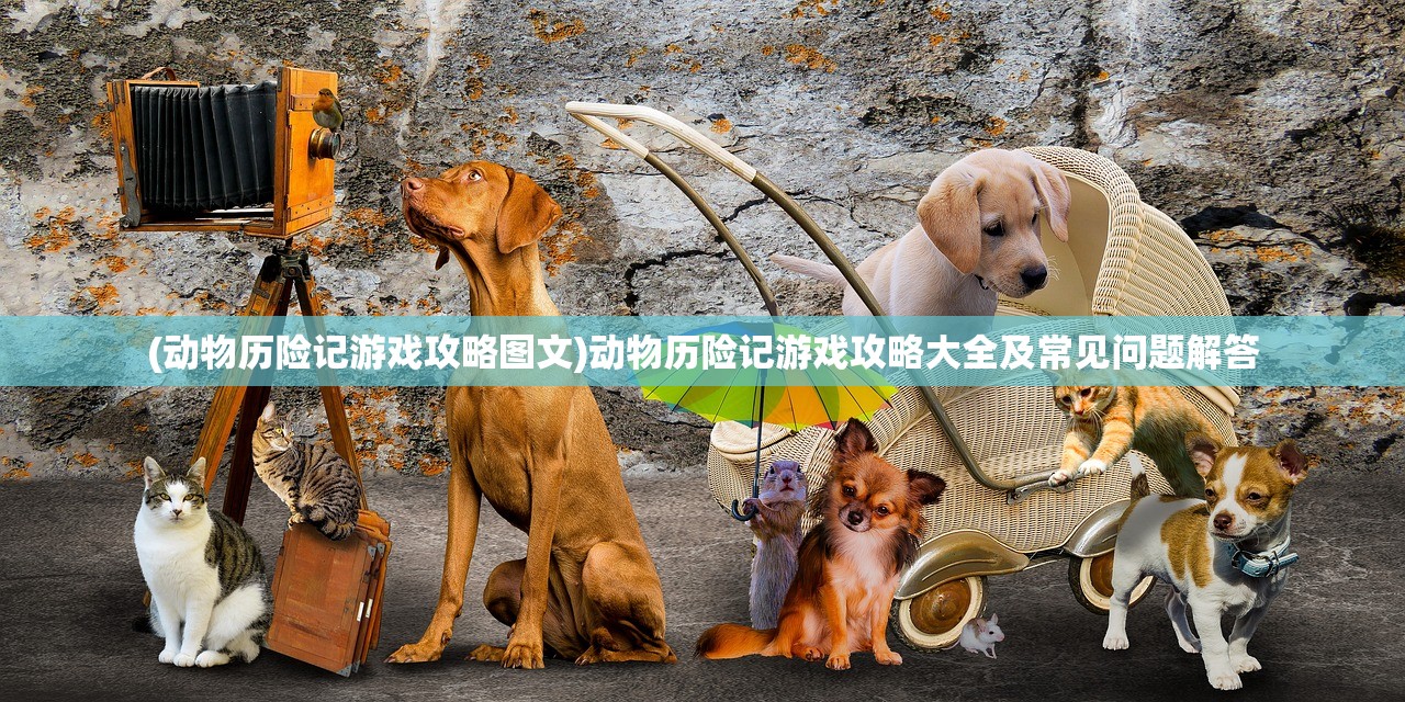 (动物历险记游戏攻略图文)动物历险记游戏攻略大全及常见问题解答 (动物历险记游戏攻略图文)动物历险记游戏攻略大全及常见问题解答