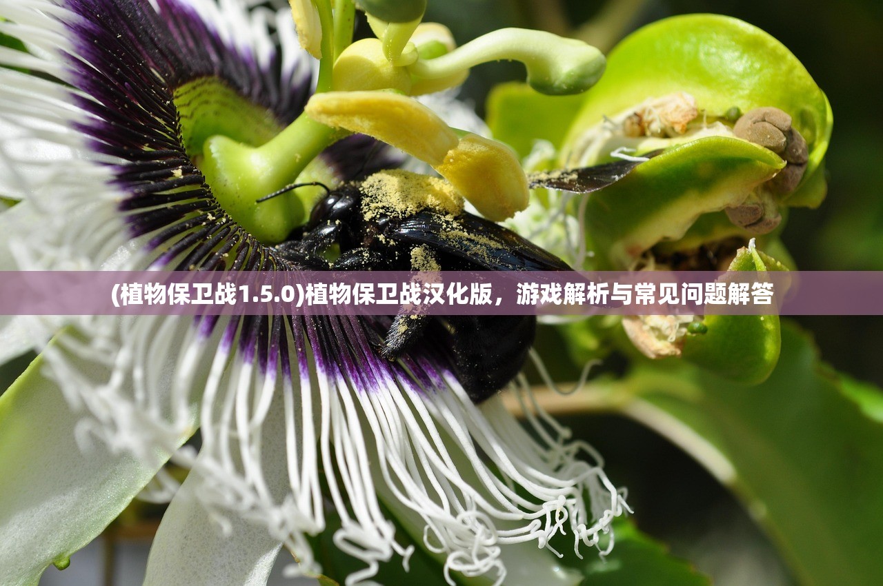 (武侠格斗手游推荐)一款早期武侠格斗过关游戏，深入探索与剖析