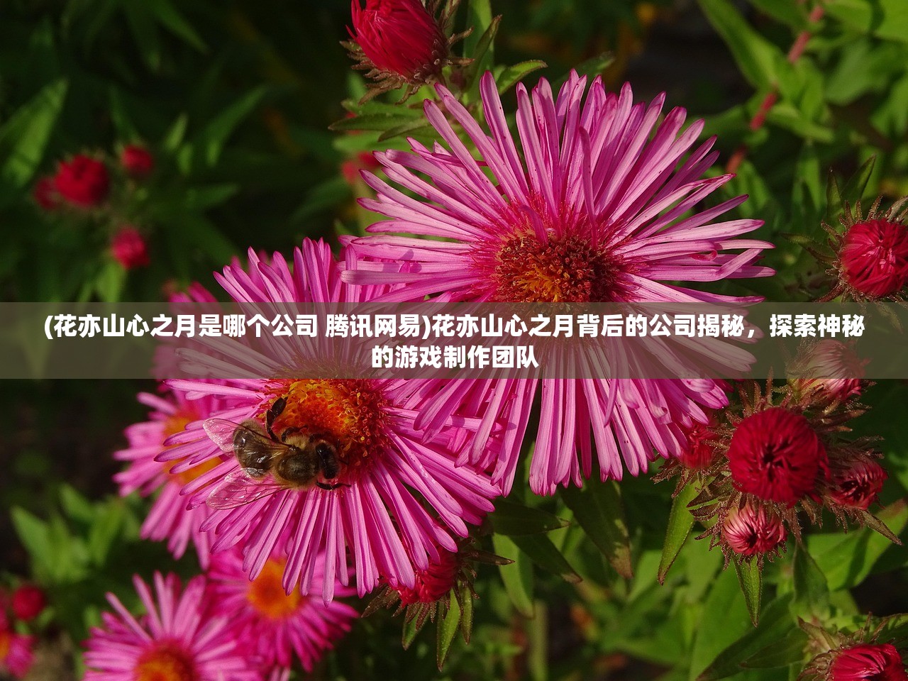 (花亦山心之月是哪个公司 腾讯网易)花亦山心之月背后的公司揭秘,探索神秘的游戏制作团队 (花亦山心之月是哪个公司 腾讯网易)花亦山心之月背后的公司揭秘,探索神秘的游戏制作团队