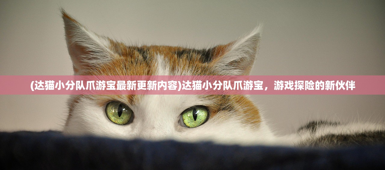 (达猫小分队爪游宝最新更新内容)达猫小分队爪游宝，游戏探险的新伙伴