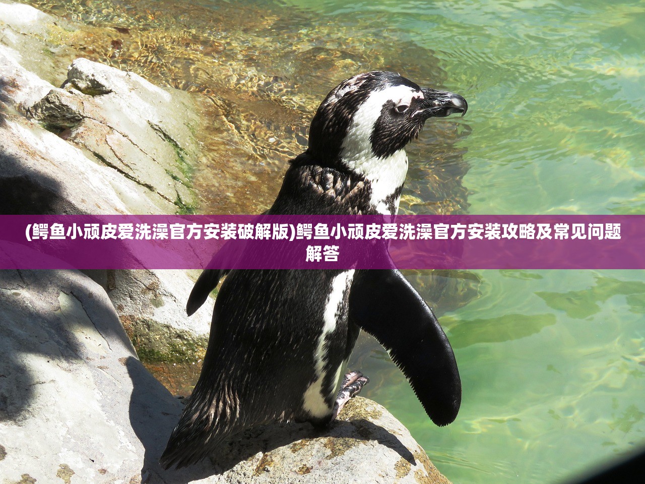 (鳄鱼小顽皮爱洗澡官方安装破解版)鳄鱼小顽皮爱洗澡官方安装攻略及常见问题解答