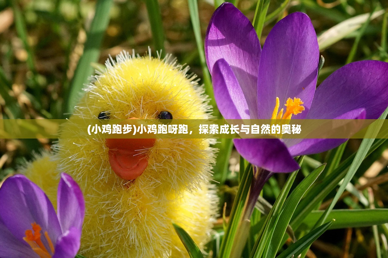(小鸡跑步)小鸡跑呀跑，探索成长与自然的奥秘