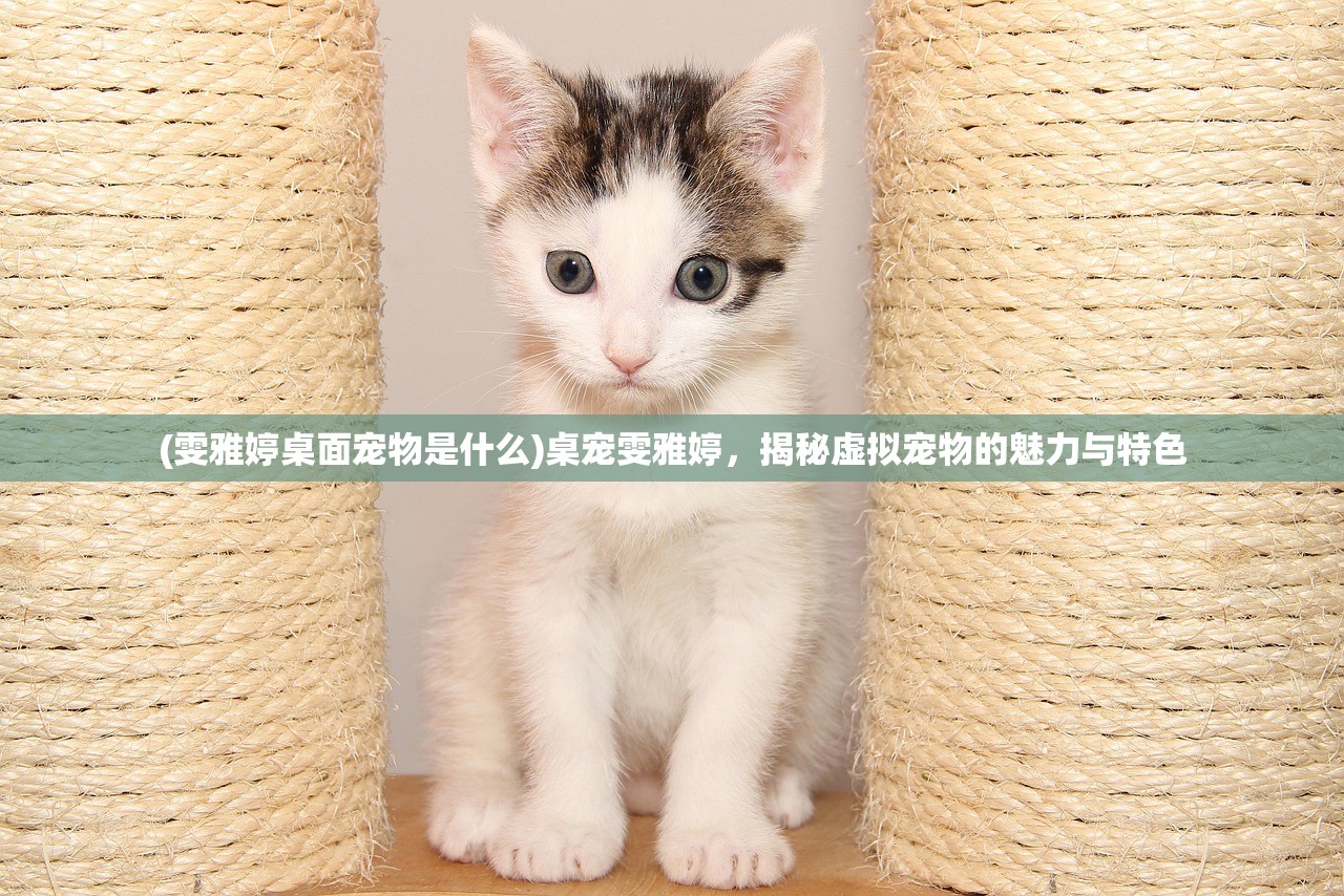 (雯雅婷桌面宠物是什么)桌宠雯雅婷，揭秘虚拟宠物的魅力与特色