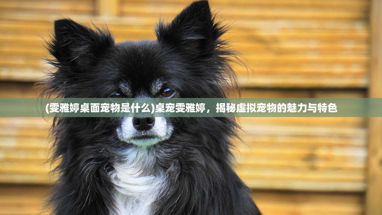 (雯雅婷桌面宠物是什么)桌宠雯雅婷，揭秘虚拟宠物的魅力与特色